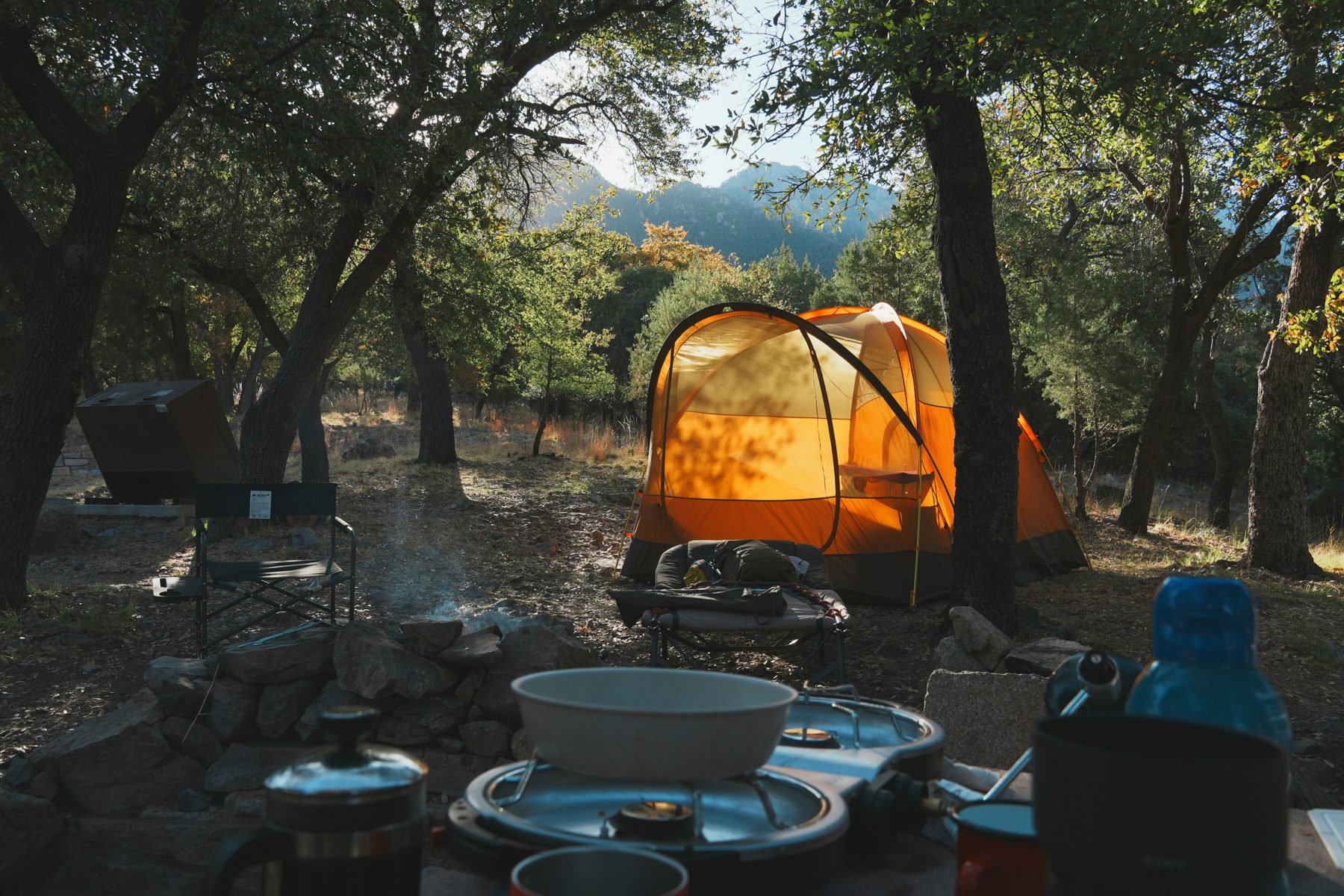 Camp setup beneath trees in the American outdoors